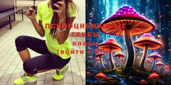 ешки Алексин