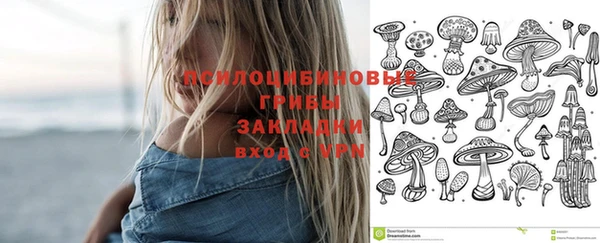 стафф Абаза